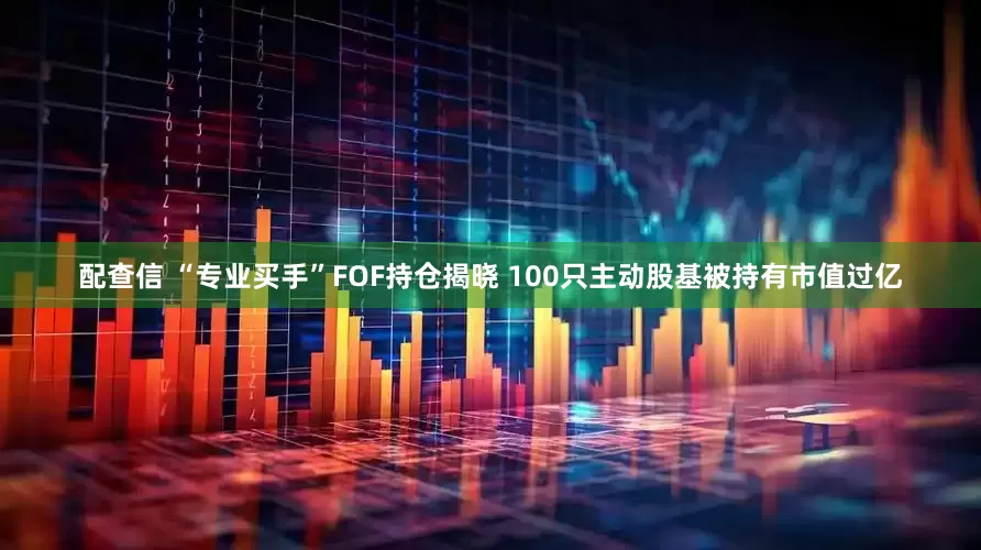 配查信 “专业买手”FOF持仓揭晓 100只主动股基被持有市值过亿