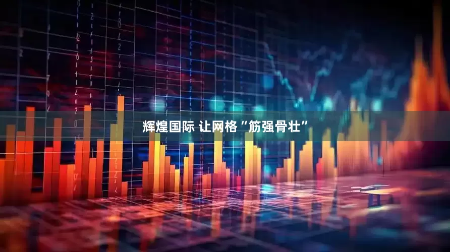 辉煌国际 让网格“筋强骨壮”