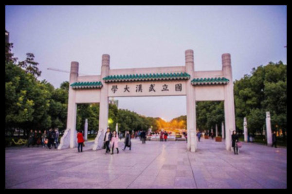 犀牛配资 胡锡进称武大应撤销对肖某某处分并道歉 还学生公道