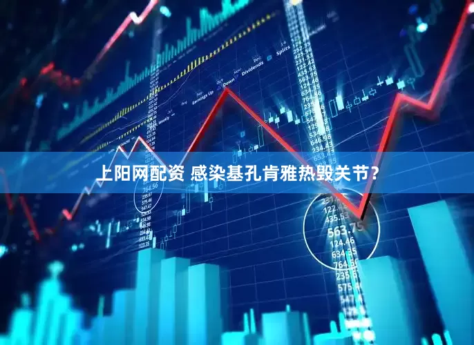 上阳网配资 感染基孔肯雅热毁关节？